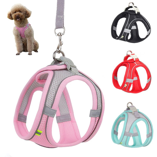 Pet Comfort Harness & Leash Set: Adjustable Vest for Small Dogs and Cats – For Safer, More Enjoyable Walks